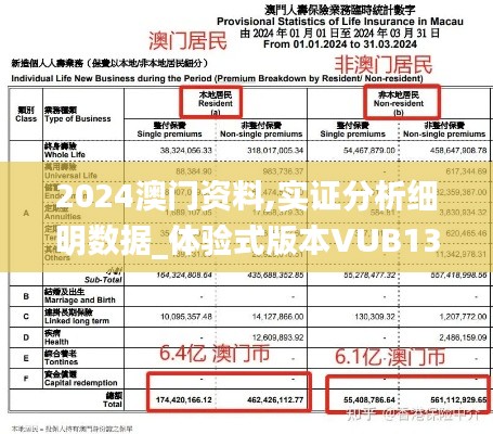 2024澳門資料,實證分析細(xì)明數(shù)據(jù)_體驗式版本VUB13.91