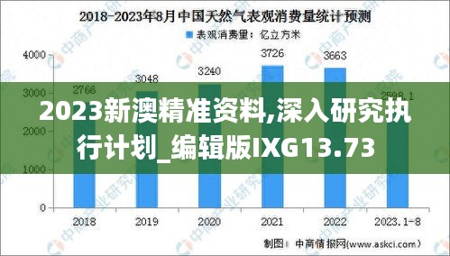 2023新澳精準(zhǔn)資料,深入研究執(zhí)行計劃_編輯版IXG13.73