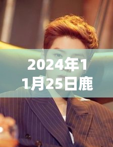 鹿晗微博頭像最新照片揭秘，音樂(lè)的力量與時(shí)代印記（2024年11月25日回顧）