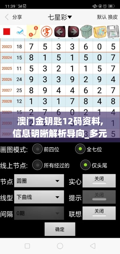 澳門金鑰匙12碼資料,信息明晰解析導(dǎo)向_多元文化版HPN13.63