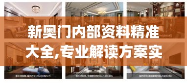 新奧門內(nèi)部資料精準大全,專業(yè)解讀方案實施_私人版CLK13.29