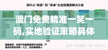 澳門免費精準一笑一碼,實地驗證策略具體_世界版OWZ13.91