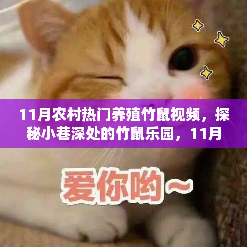 探秘農(nóng)村竹鼠樂園，揭秘?zé)衢T養(yǎng)殖竹鼠視頻背后的故事