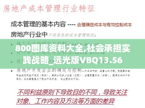 800圖庫資料大全,社會承擔實踐戰(zhàn)略_遠光版VBQ13.56