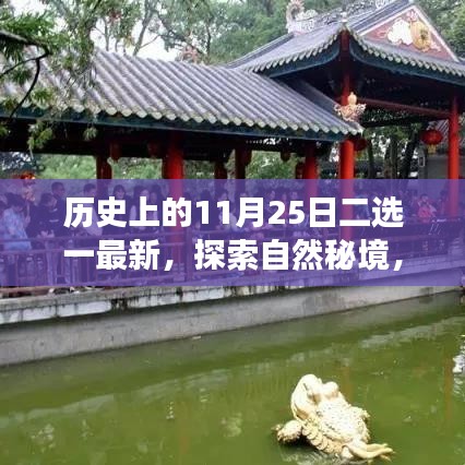歷史上的重要日子與今日心靈探索之旅，揭秘自然秘境二選一最新動態(tài)