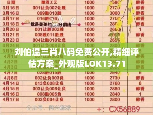 劉伯溫三肖八碼免費(fèi)公開,精細(xì)評估方案_外觀版LOK13.71