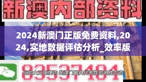 2024新澳門正版免費(fèi)資料,2024,實(shí)地?cái)?shù)據(jù)評估分析_效率版NKE13.59