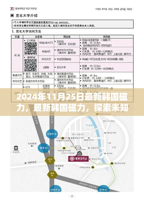 最新韓國磁力探索，小紅書帶你領(lǐng)略未知世界的神秘力量