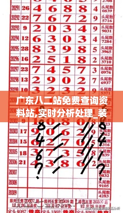 廣東八二站免費(fèi)查詢資料站,實(shí)時(shí)分析處理_裝飾版JEU13.66