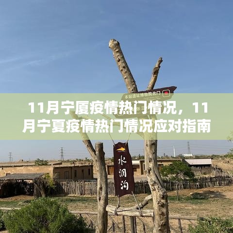 寧夏11月疫情應對指南，保護自身與社區(qū)的關鍵步驟