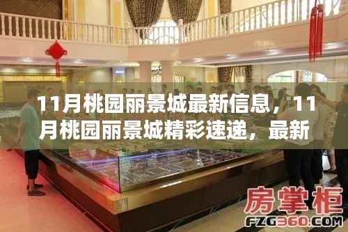 11月桃園麗景城最新動態(tài)與精彩速遞