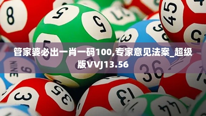 管家婆必出一肖一碼100,專家意見法案_超級版VVJ13.56