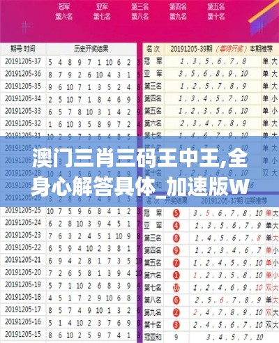 澳門(mén)三肖三碼王中王,全身心解答具體_加速版WUX13.82