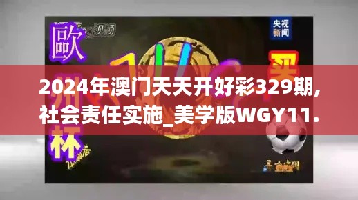 2024年澳門天天開好彩329期,社會責(zé)任實施_美學(xué)版WGY11.10