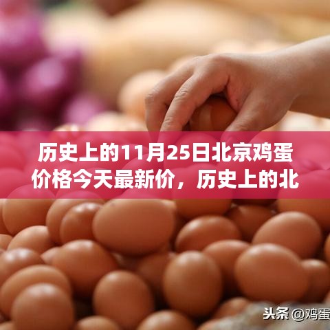 北京雞蛋價(jià)格演變與今日市場(chǎng)最新動(dòng)態(tài)分析，歷史數(shù)據(jù)與今日市場(chǎng)對(duì)比報(bào)告