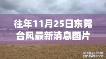 東莞臺(tái)風(fēng)最新消息與美景探索，尋找內(nèi)心平靜的旅程