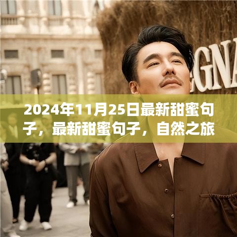 最新甜蜜句子與心靈之旅，尋找寧靜微笑的自然之旅（2024年11月25日）