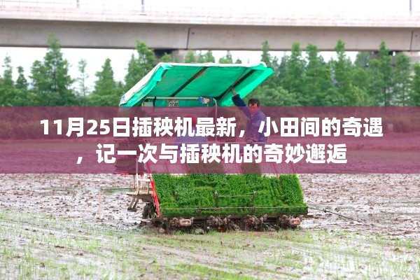 記一次與最新插秧機的奇妙邂逅，小田間的奇遇