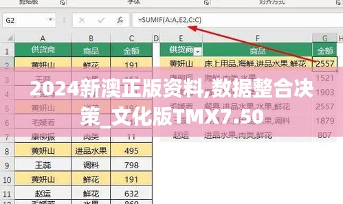 2024新澳正版資料,數(shù)據(jù)整合決策_文化版TMX7.50