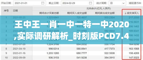 王中王一肖一中一特一中2020,實際調(diào)研解析_時刻版PCD7.45