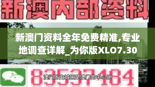 新澳門資料全年免費精準,專業(yè)地調查詳解_為你版XLO7.30