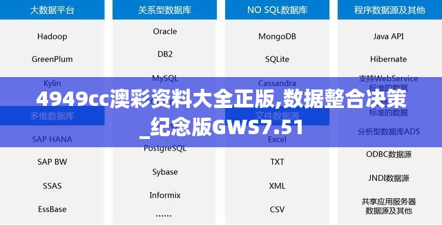 4949cc澳彩資料大全正版,數(shù)據(jù)整合決策_紀念版GWS7.51