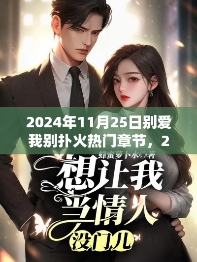 別愛我別撲火熱門章節(jié)深度評(píng)測(cè)與介紹（2024年11月25日）