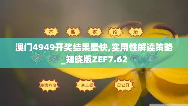 澳門4949開獎結(jié)果最快,實(shí)用性解讀策略_知曉版ZEF7.62