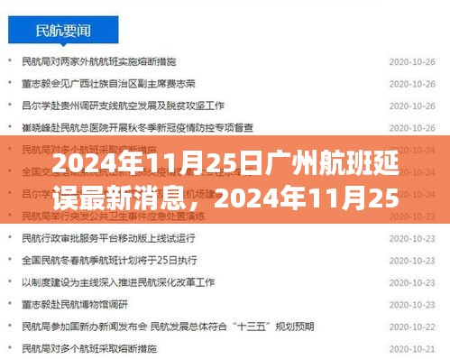 2024年11月25日廣州航班延誤最新消息及應對指南，旅客如何應對延誤情況獲取最新消息