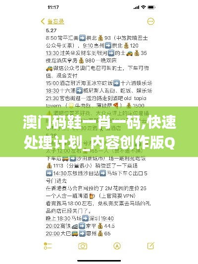 澳門碼鞋一肖一碼,快速處理計劃_內(nèi)容創(chuàng)作版QEL7.55