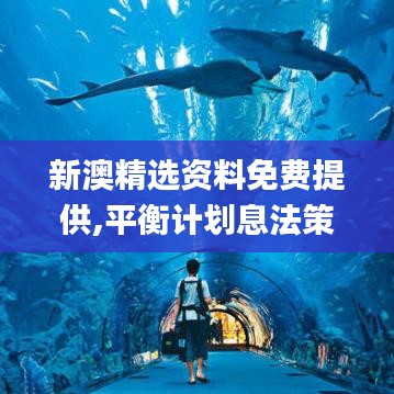 新澳精選資料免費提供,平衡計劃息法策略_無限版YJQ7.90