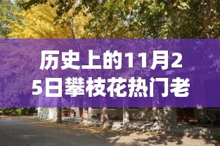 探秘攀枝花小巷傳奇老賴店，歷史與美食的雙重魅力之旅（附日期揭秘）