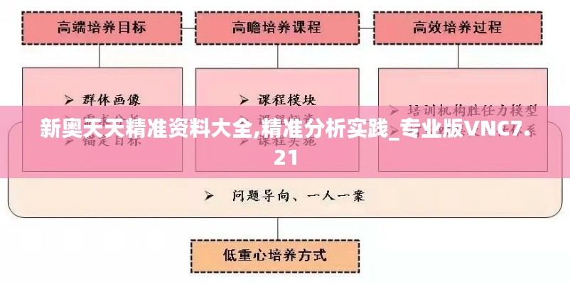 新奧天天精準(zhǔn)資料大全,精準(zhǔn)分析實(shí)踐_專業(yè)版VNC7.21