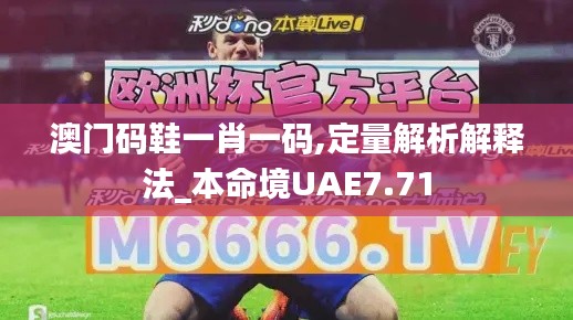 澳門碼鞋一肖一碼,定量解析解釋法_本命境UAE7.71