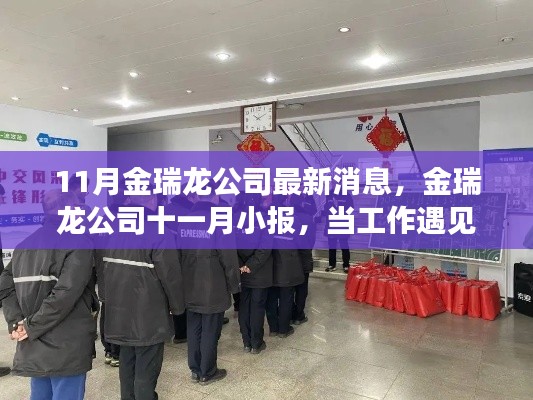 11月金瑞龍公司最新動態(tài)，工作遇溫馨日常，友情與愛共筑美好時刻