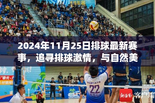 追尋激情與美景，2024年11月25日排球賽事之旅
