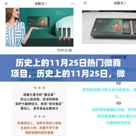 歷史上的11月25日微商項目輝煌時刻回顧??