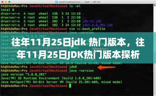 往年11月25日J(rèn)DK熱門(mén)版本深度解析，觀(guān)點(diǎn)與個(gè)人立場(chǎng)探討