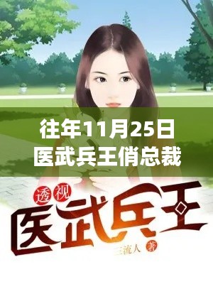 醫(yī)武兵王俏總裁最新動(dòng)態(tài)及深度解讀，歷年11月25日回顧與前瞻