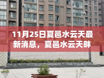 夏邑水云天畔的秋日友情之旅，最新消息與溫馨日常