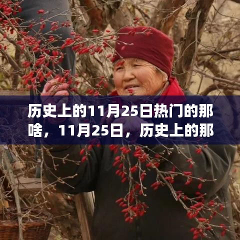歷史上的溫馨趣事與深厚友情，聚焦11月25日的那些精彩瞬間