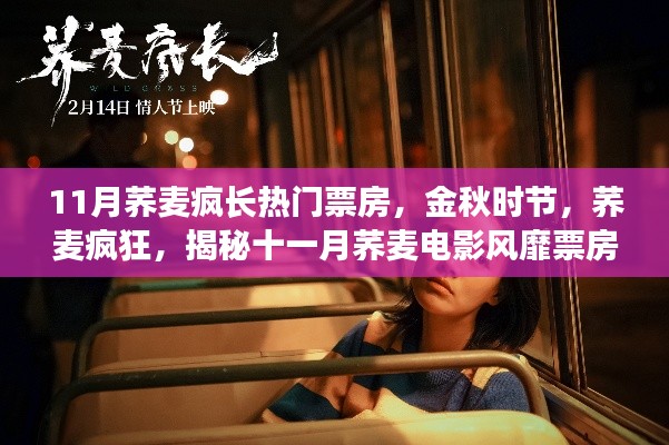 揭秘十一月蕎麥電影風(fēng)靡背后的故事，金秋時(shí)節(jié)蕎麥瘋狂引領(lǐng)票房熱潮