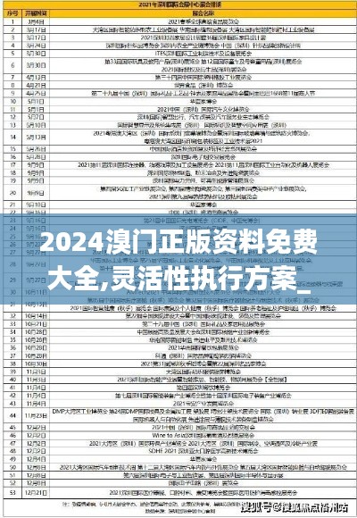 2024溴門正版資料免費(fèi)大全,靈活性執(zhí)行方案_獲取版QNL13.11