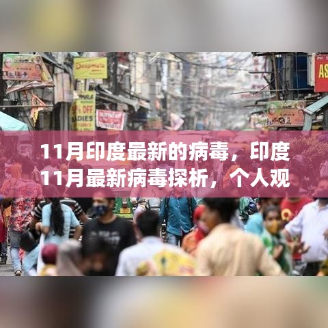 印度11月最新病毒探析，個(gè)人觀點(diǎn)與深度剖析