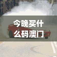 今晚買什么碼澳門,高效性設計規(guī)劃_結合版GTR13.14