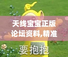 天線寶寶正版論壇資料,精準(zhǔn)數(shù)據(jù)評估_教育版BDA13.90