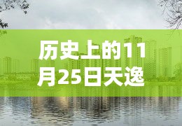 歷史上的11月25日，天逸灣樓盤最新動態(tài)及其深度影響分析