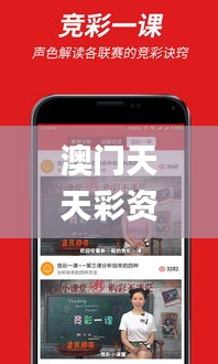 澳門(mén)天天彩資料大全那些是天肖？,實(shí)地驗(yàn)證研究方案_交互式版AYN13.4