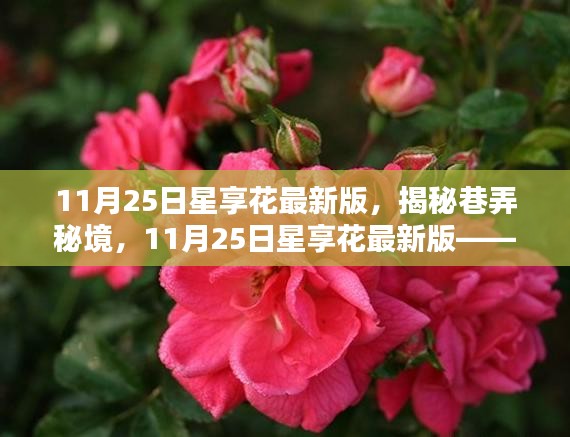 揭秘巷弄秘境，星享花最新版特色小店探秘之旅