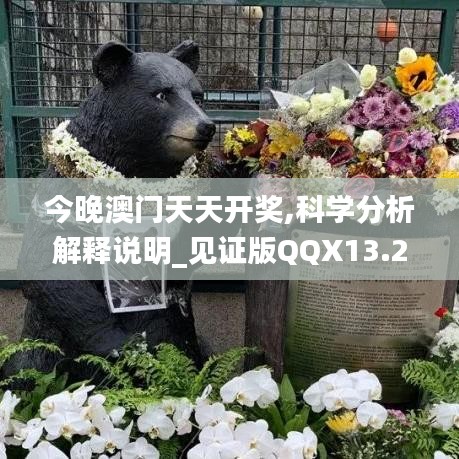 今晚澳門天天開獎(jiǎng),科學(xué)分析解釋說明_見證版QQX13.25